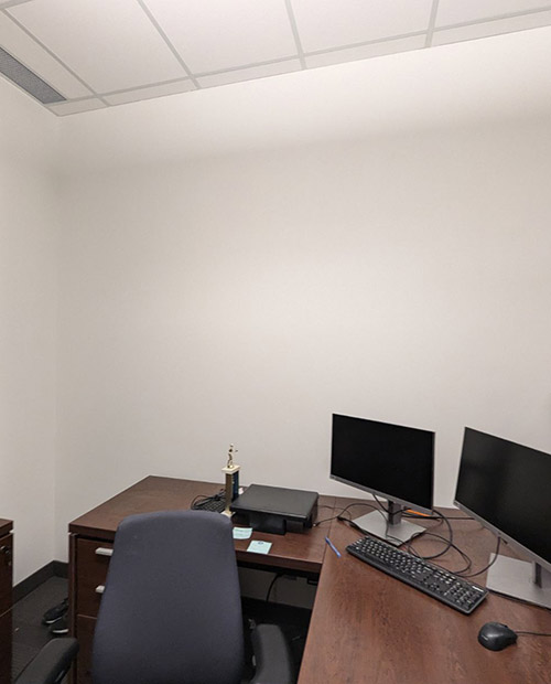 Building Painter in Hochelaga-Maisonneuve
